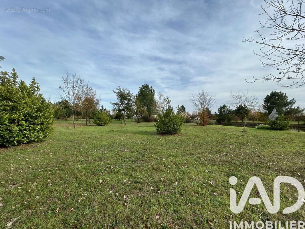 Photo 6 - Terrain à ALLONNES