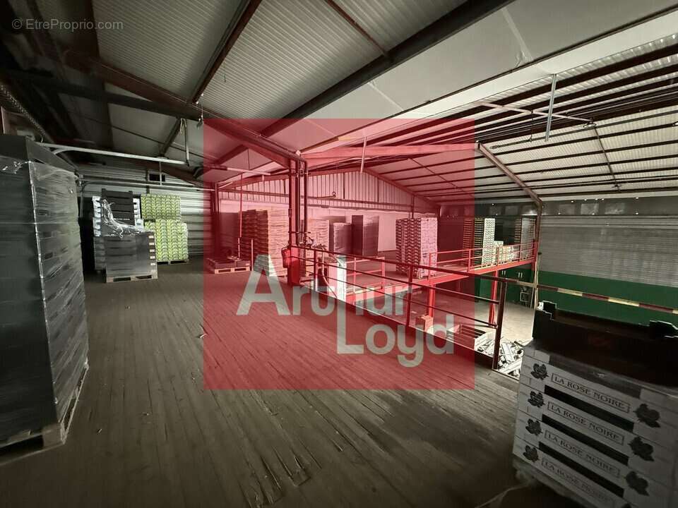 Autre à LAFRANCAISE