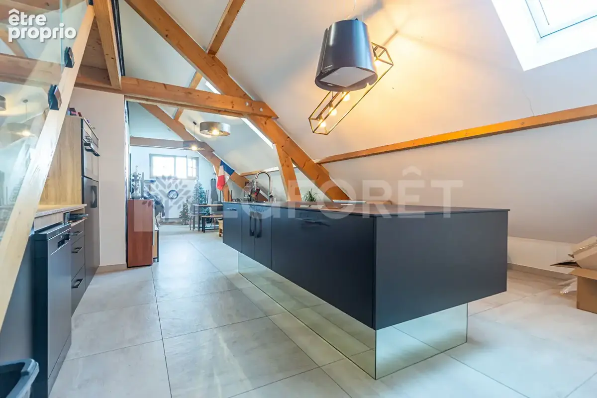 Agence immobiliere laforet - "dodonea" - annecy / seynod - appartement duplex t5 de 189,4m² au sol et 119m²  loi carrez - cave - - photo 3
