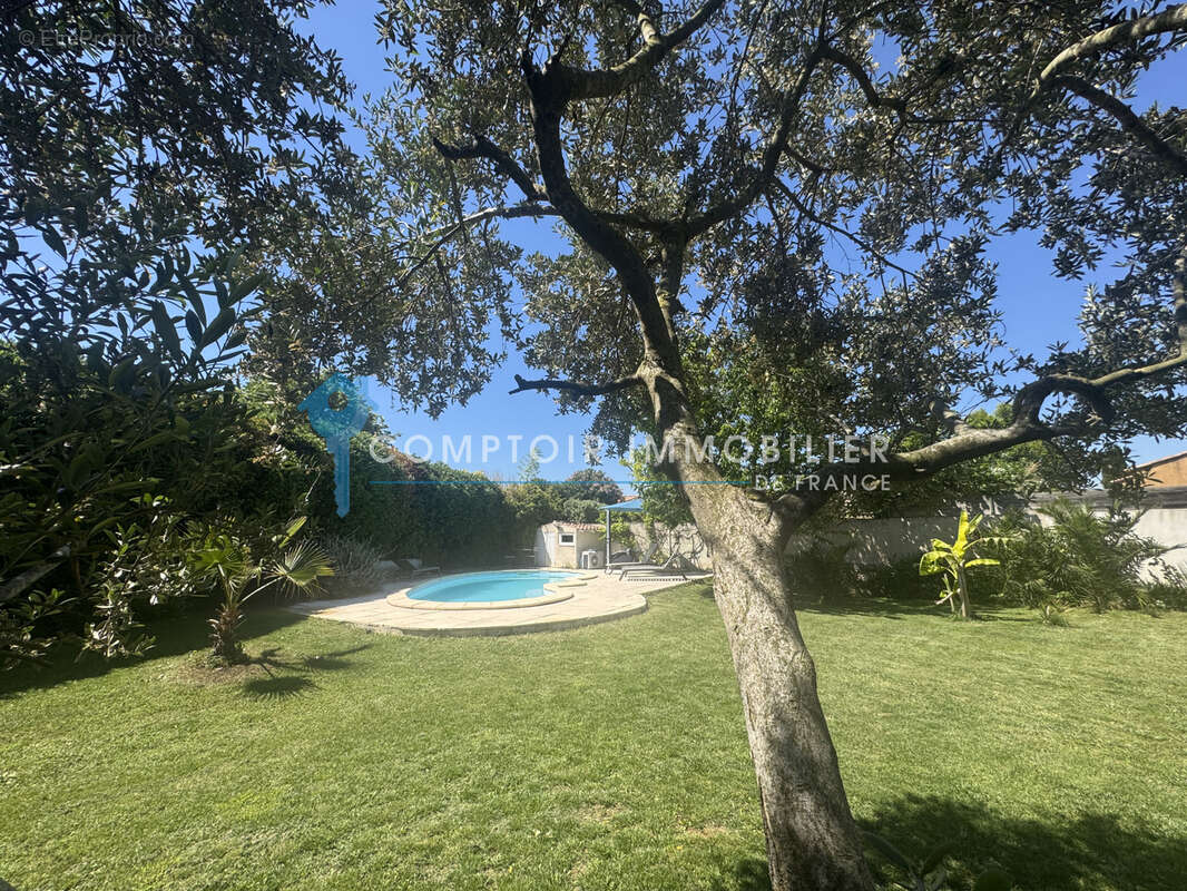Maison à CODOGNAN