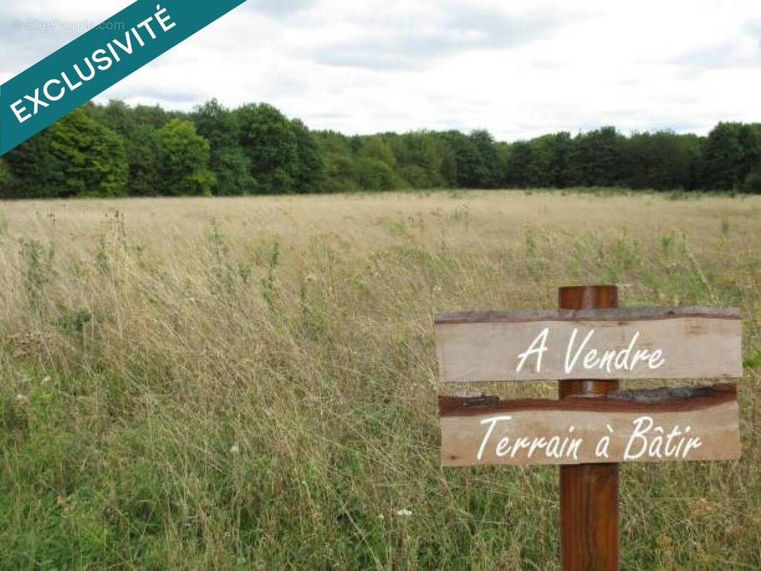 Photo 1 - Terrain à SAINT-CIERS-DU-TAILLON