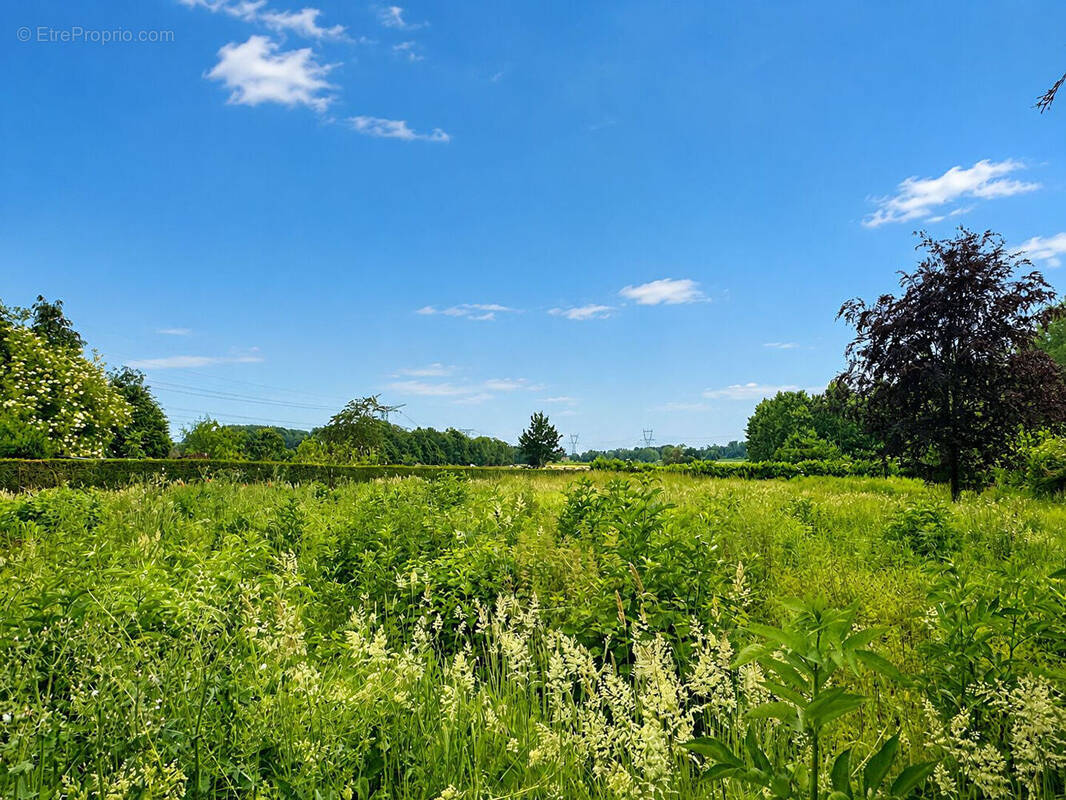 Terrain à COUTICHES