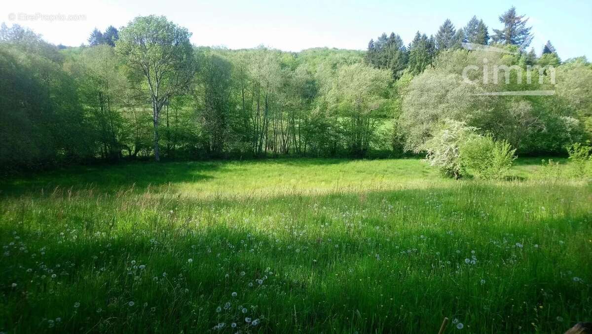St georges la pouge - photo 8