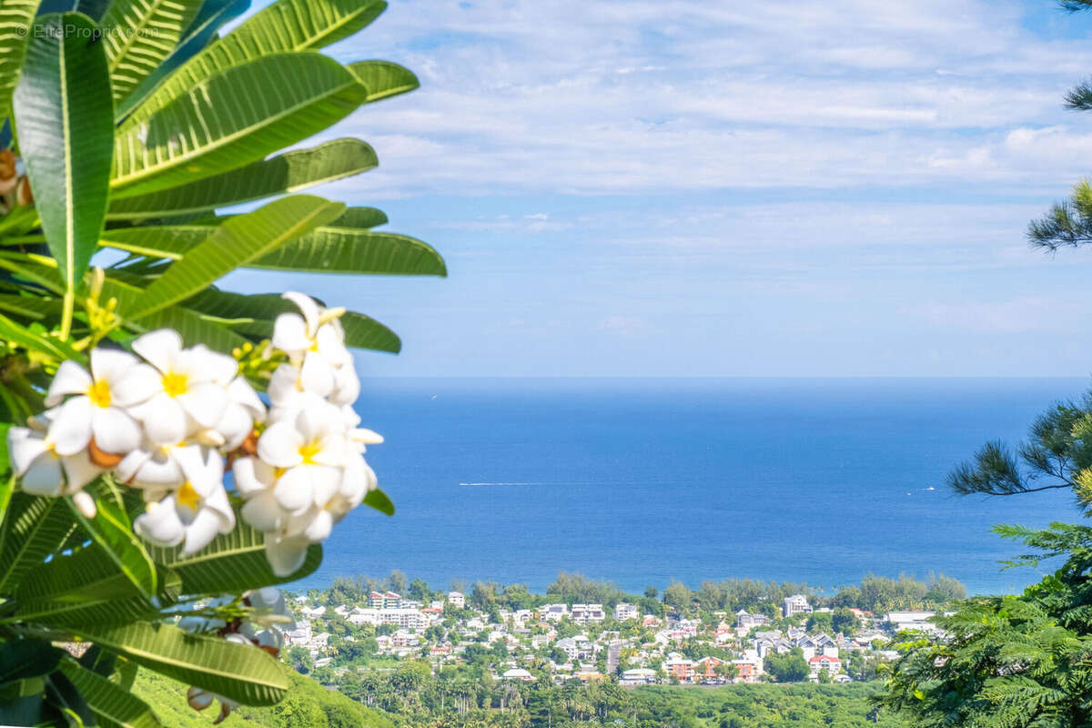 Photo 3 - Maison à SAINT-PAUL