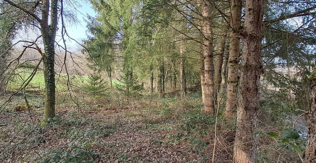 Terrain à GERNELLE