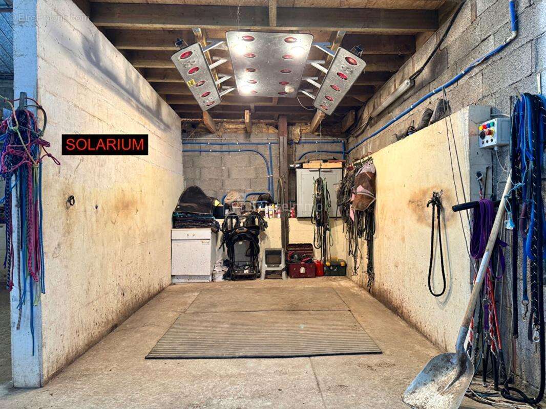 Centre equestre avec manege couvert et cabinet d'equitherapie - photo 8
