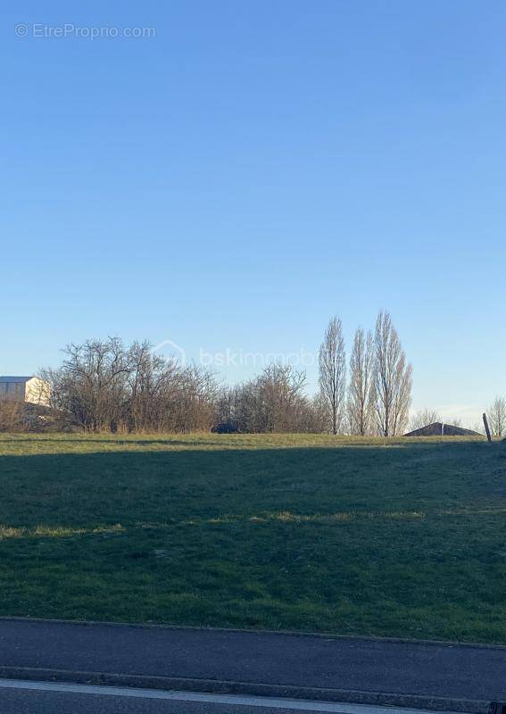 Terrain à SEINGBOUSE