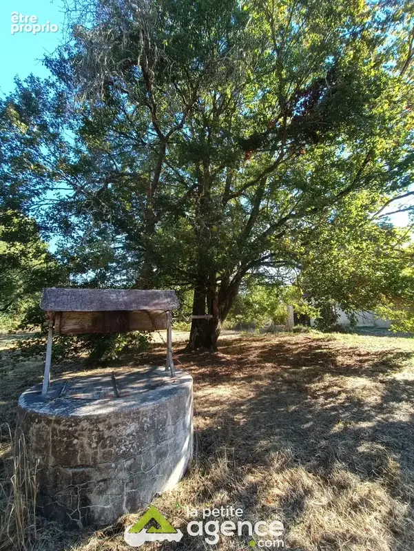 Longère sur 3500m2 - photo 20