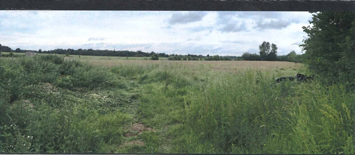 Terrain à SAINT-GEORGES-DU-VIEVRE