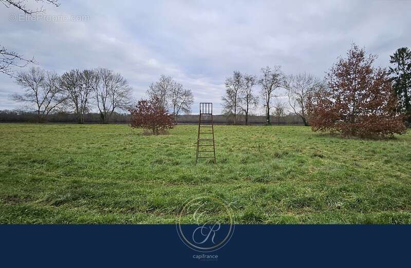 Maison de caractère en bord de Loire 7 pièces BEHUARD (49) - photo 29