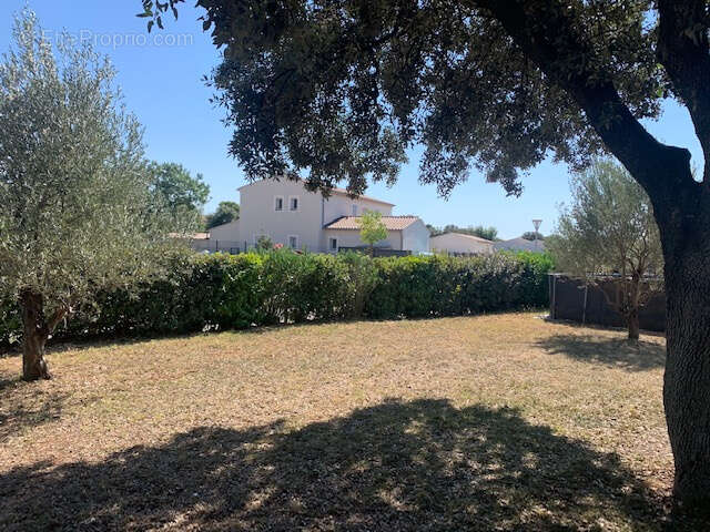 Maison à PERNES-LES-FONTAINES