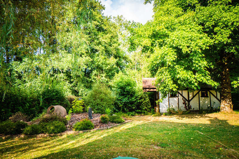Maison 275 m² à Champsecret  - photo 7