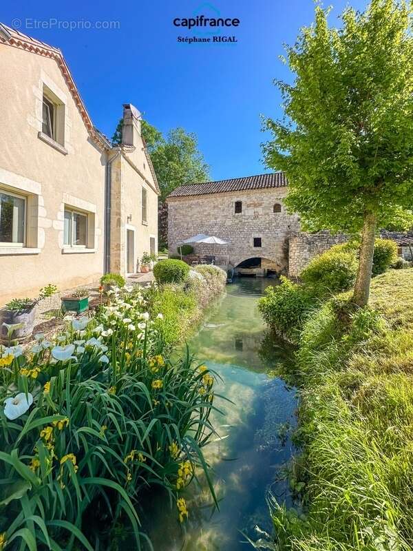 Maison à MONTCUQ