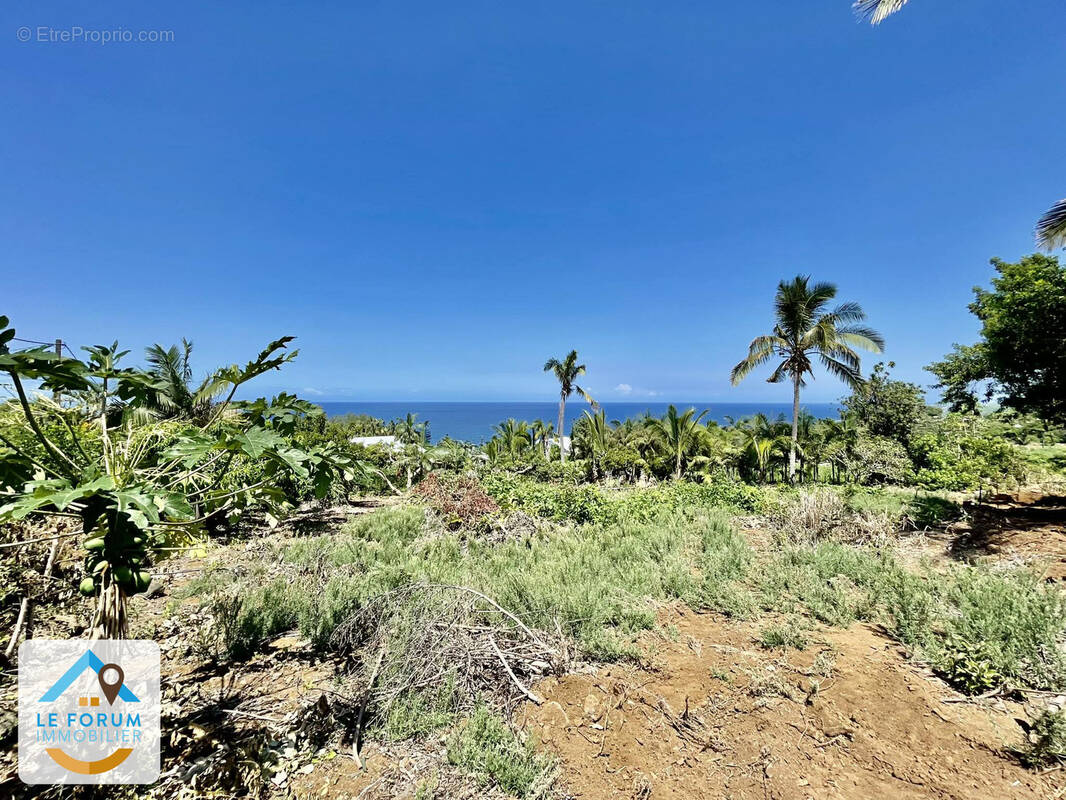 Terrain à PETITE-ILE
