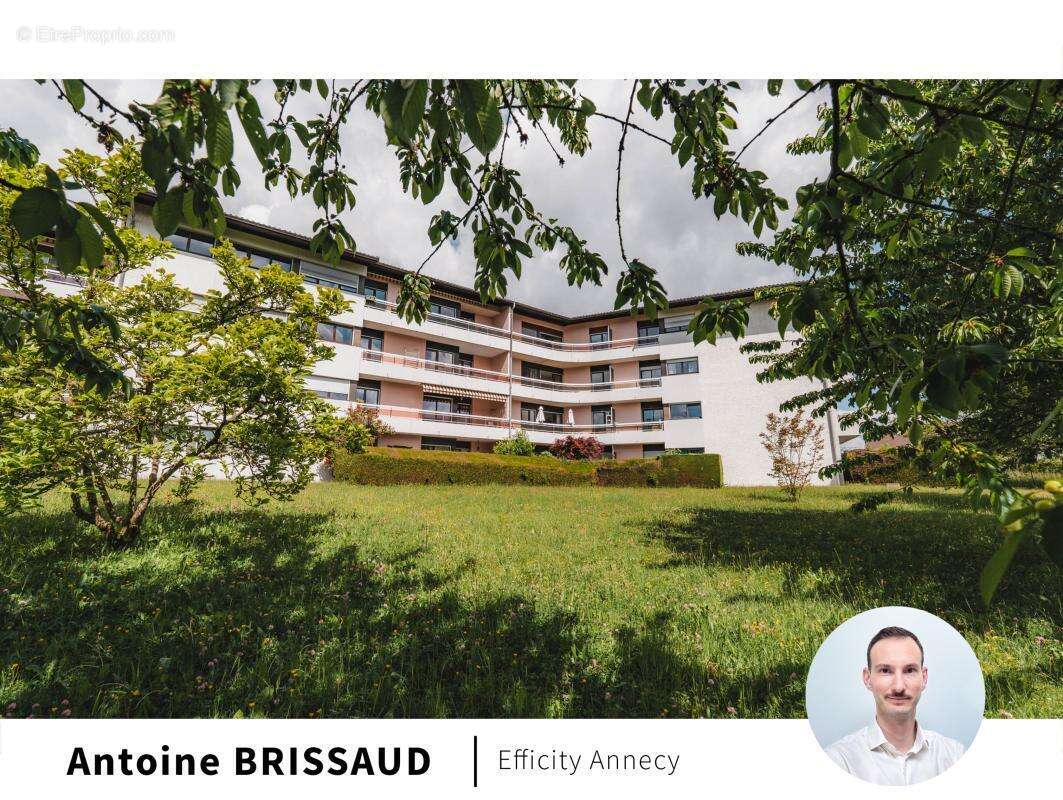 Appartement - photo 2