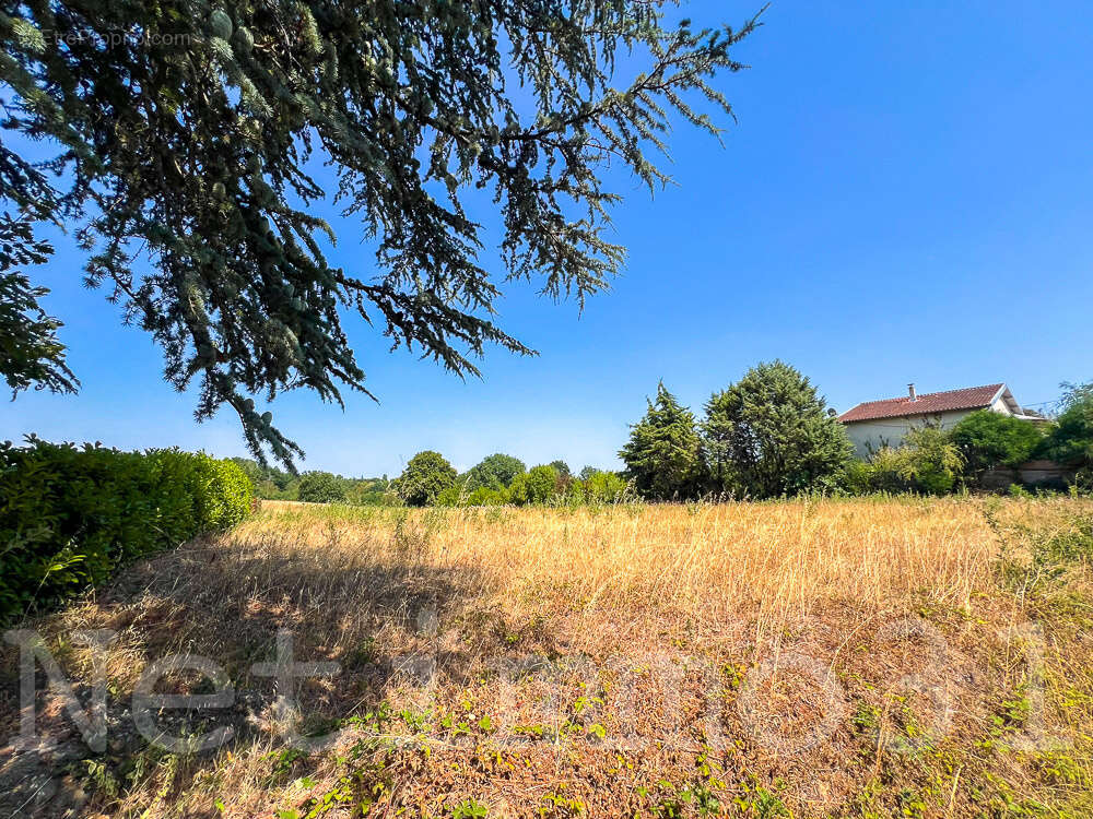 grand terrain constructible - photo 2