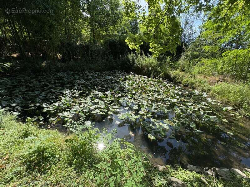 Maison à vendre 8 pièces  (72) - photo 5