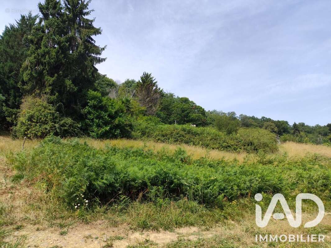Terrain 1000 m² à Monein  - photo 4