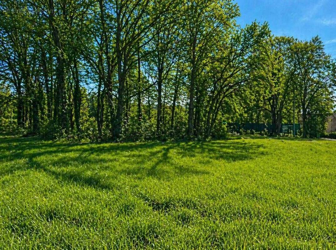 Terrain à PETIT-BERSAC
