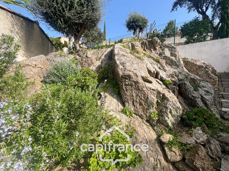 Maison à LE LAVANDOU