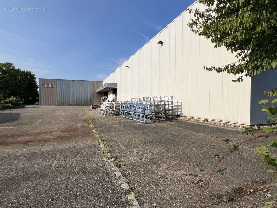 Ensemble Immobilier Bureaux de 375m2 + entrepôts de 3860m2 ( - photo 5
