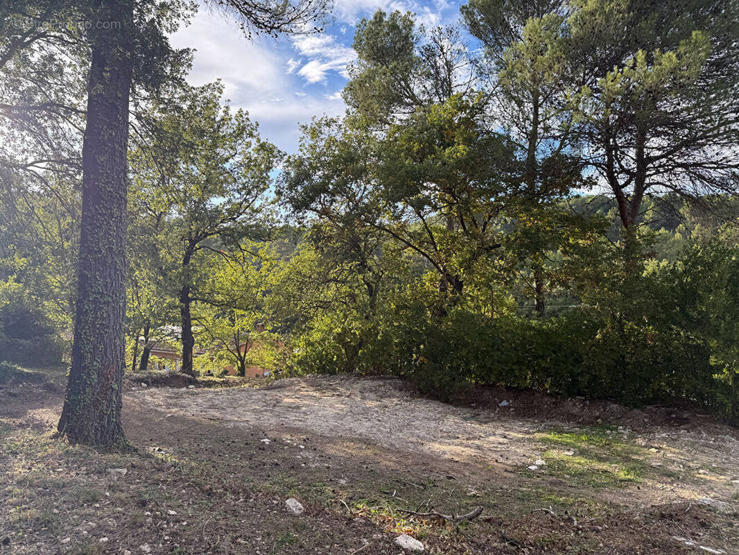 Terrain à LA ROQUE-D&#039;ANTHERON