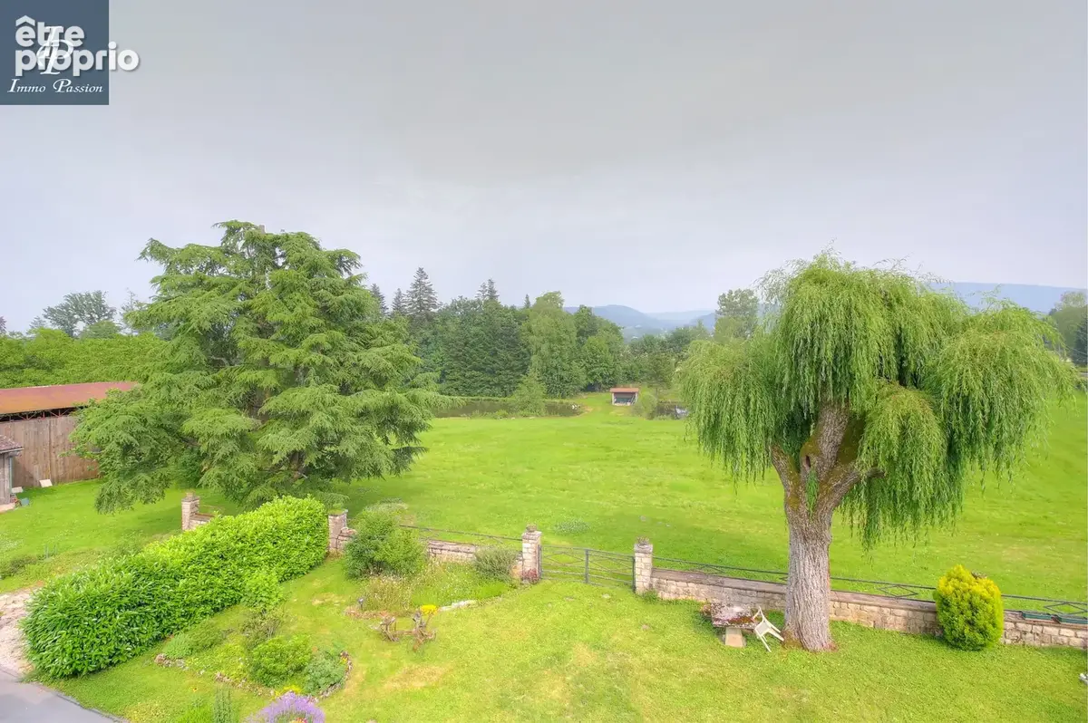 A VENDRE Proche COUSANCE : Magnifique Propriété 11 pièces 350 m2 - photo 5
