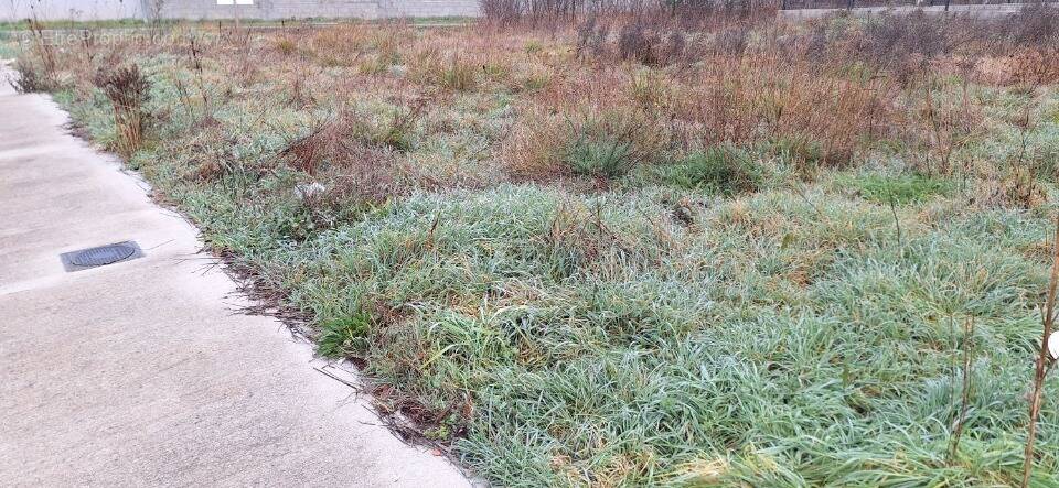 Terrain à PLAISANCE-DU-TOUCH