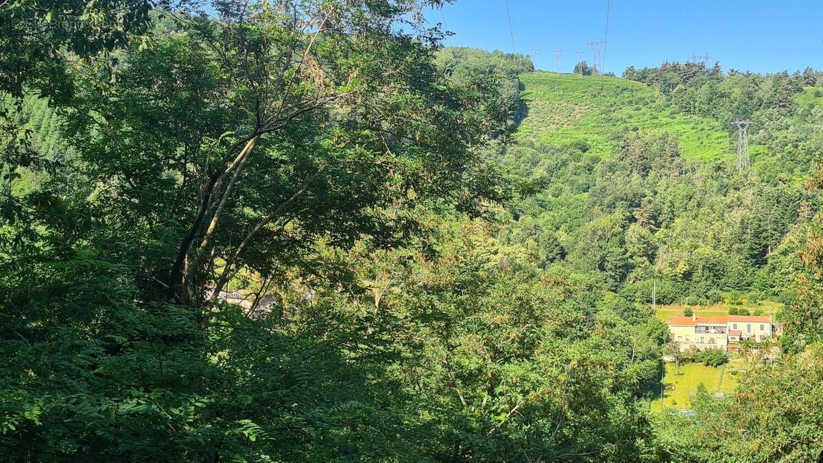 Terrain à SAINT-ETIENNE