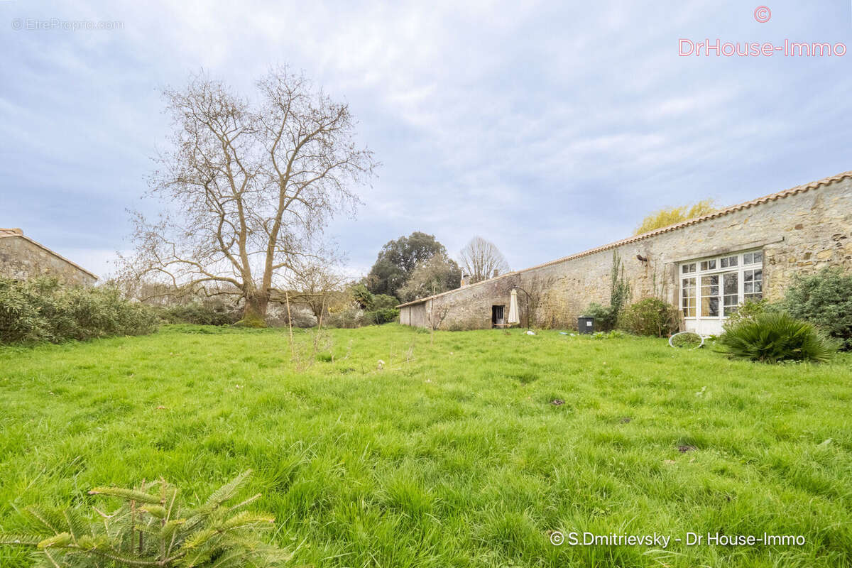 Maison 800 m² à Saint-Vivien-De-Medoc  - photo 22