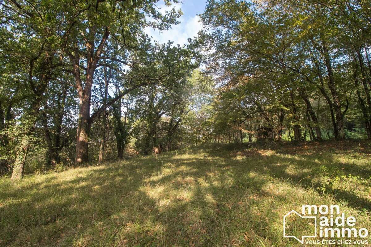 Maison à CHANCELADE