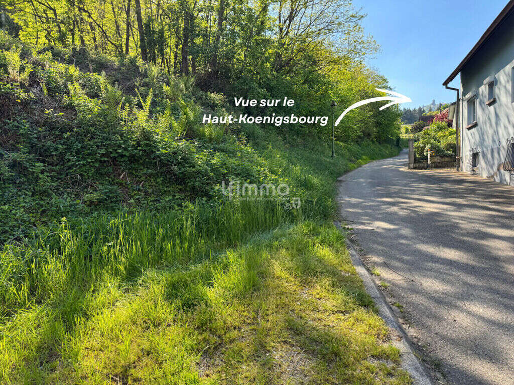 Terrain à ORSCHWILLER