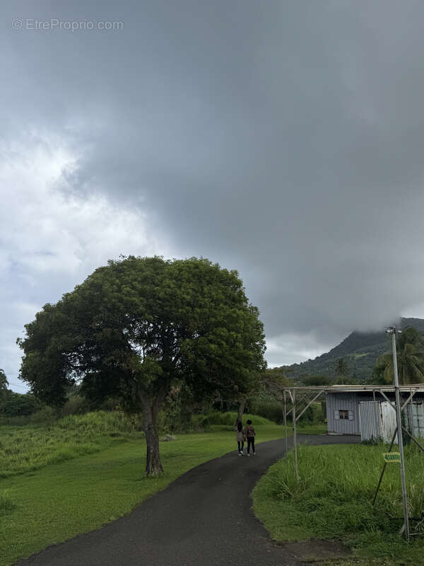 Terrain à CAPESTERRE-BELLE-EAU