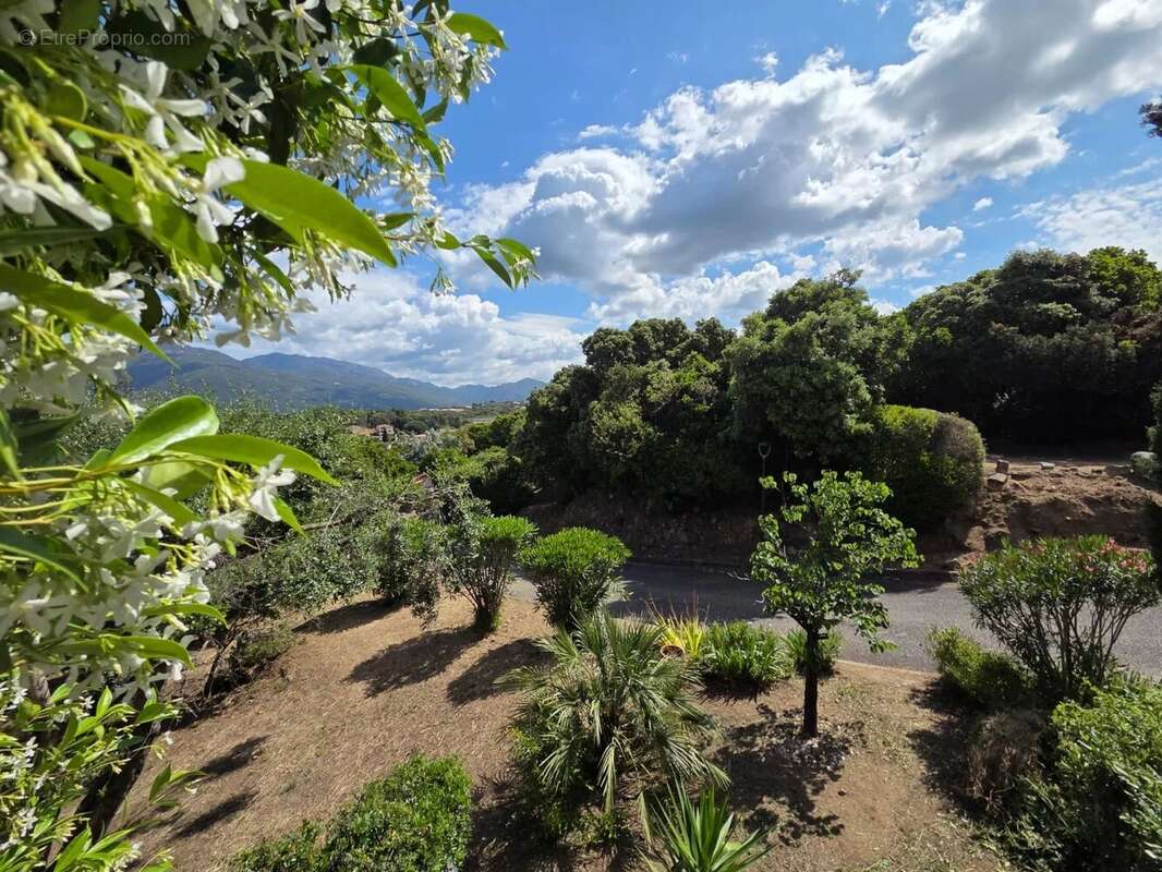 Maison à PROPRIANO