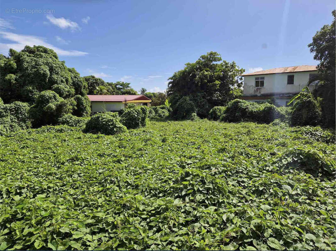 Terrain à CAPESTERRE-BELLE-EAU