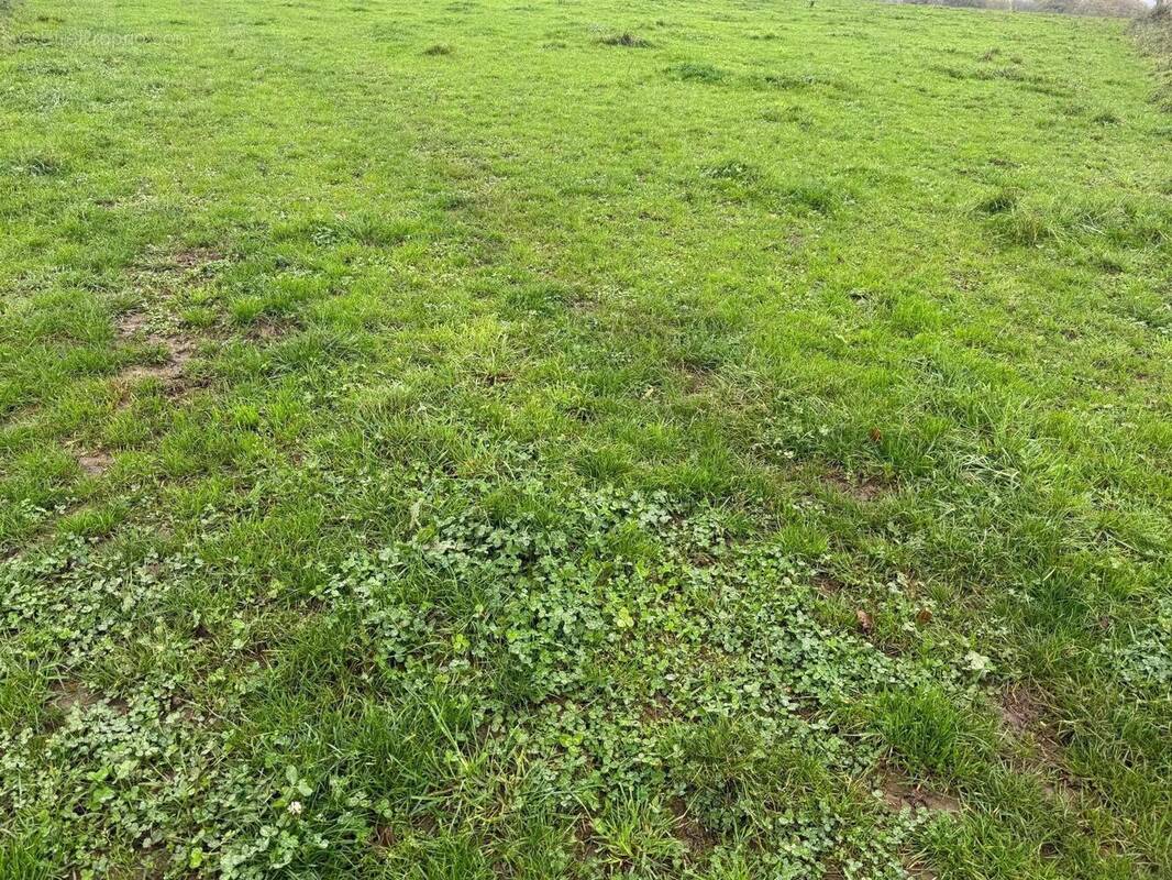 Photo 1 - Terrain à CANDE