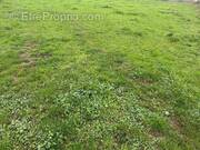 Photo 1 - Terrain à CANDE