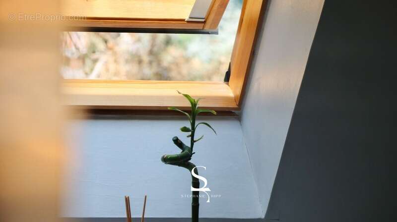 Maison familiale 4 pièces avec jardin intimiste - HAGUENAU (67) - photo 11
