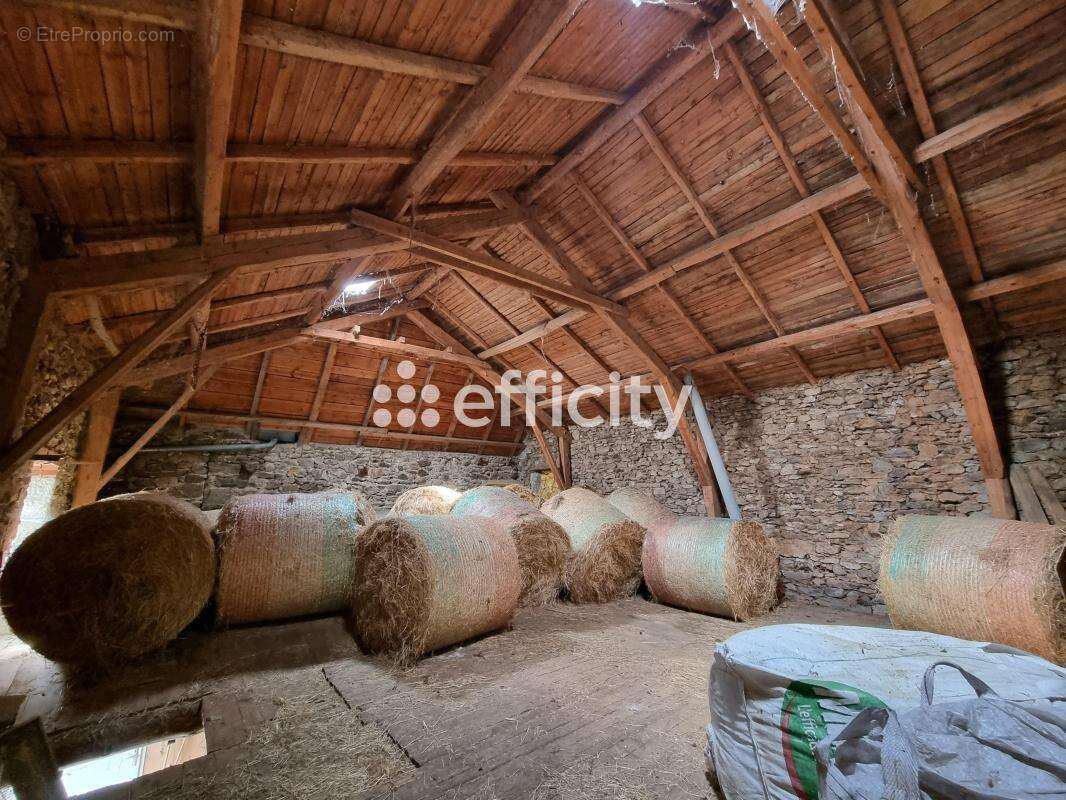 Maison 191 m² à Lorcieres  - photo 14