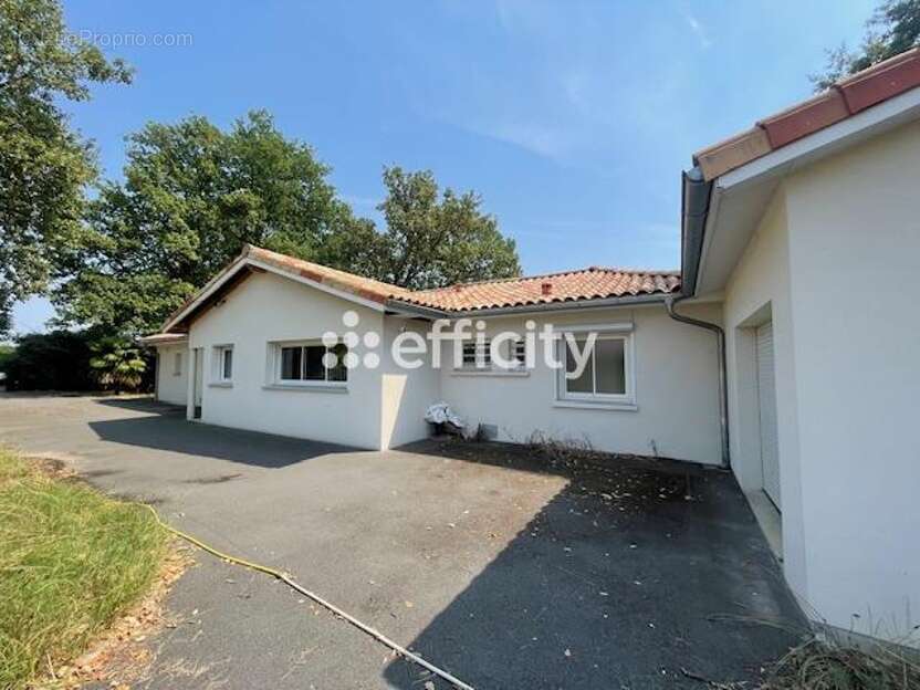 Maison 186 m² à Le Taillan-Medoc  - photo 3