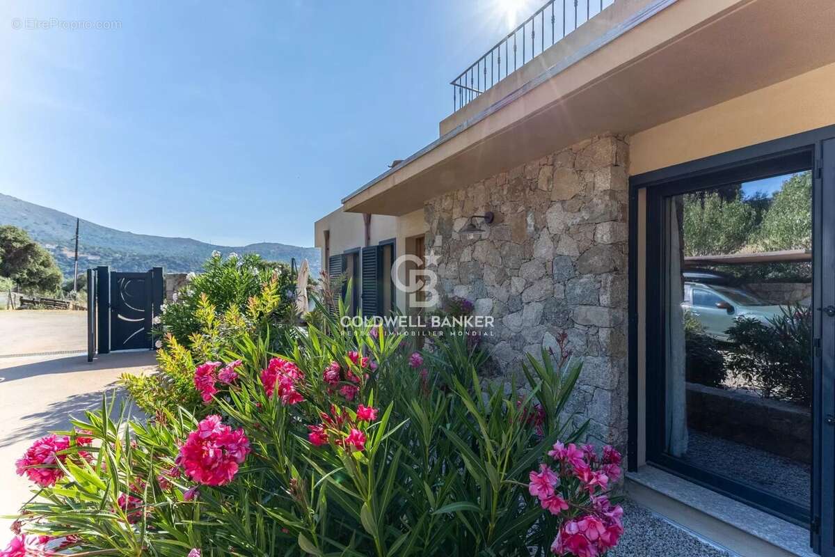 Aregno - Beau T3 vue montagne - Terrasse & jardin - photo 28