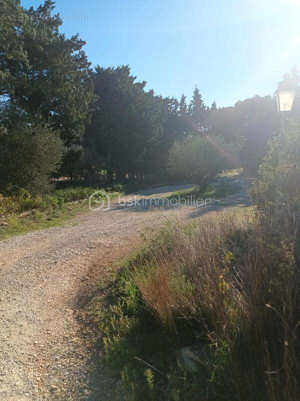 Maison à SAINT-HILAIRE-D'OZILHAN