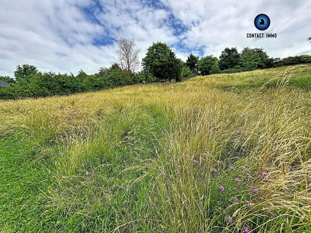 Terrain à ALLASSAC