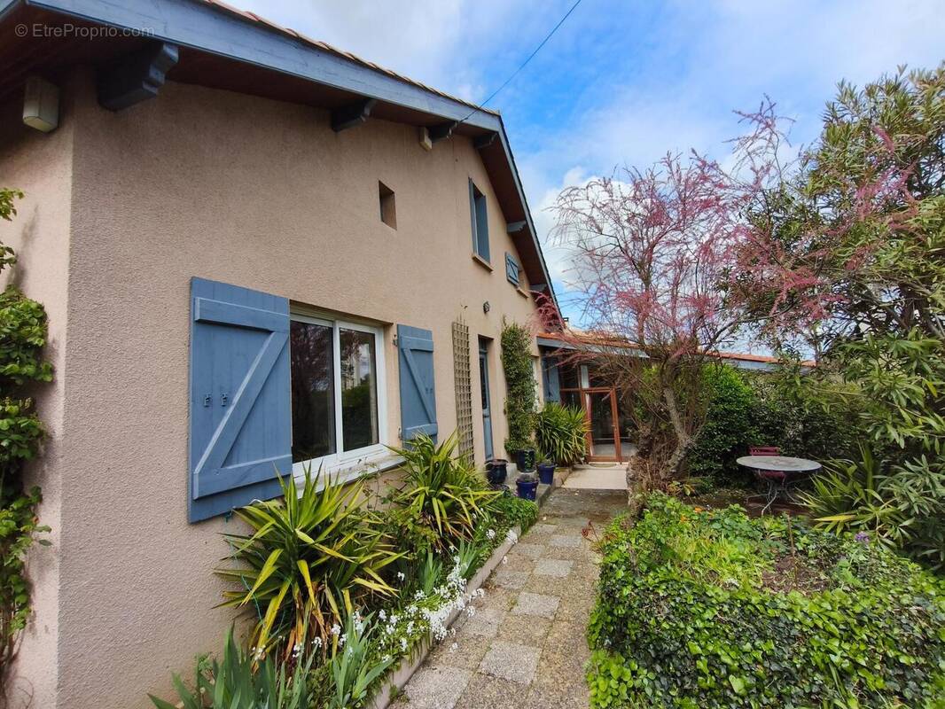 Photo 1 - Maison à TOULOUSE