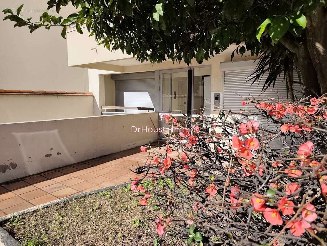 Commerce 43 m² à Perpignan  - photo 10