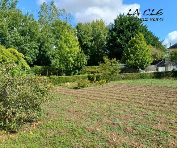 Terrain à COULONGES-SUR-L&#039;AUTIZE