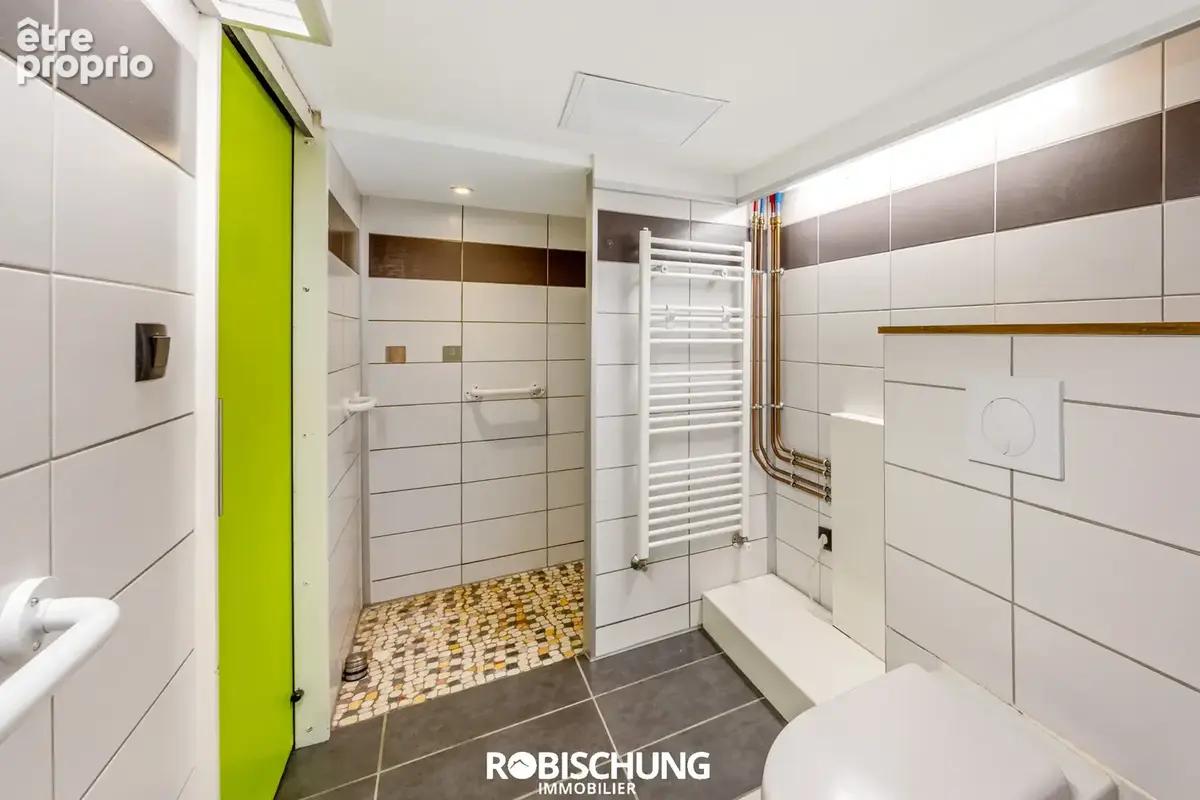 Secteur DANNEMARIE à TRAUBACH LE BAS : Ensemble immobilier plein de potentiel ! - photo 8