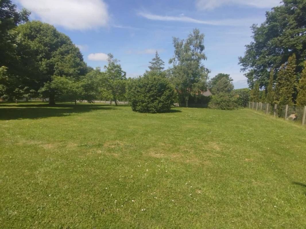 Terrain à BOSMIE-L&#039;AIGUILLE