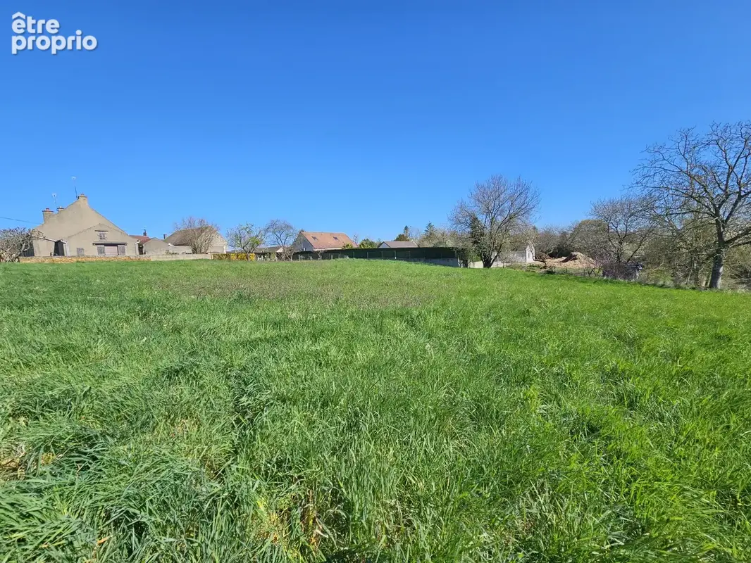 Allerey sur Saône Terrain à Bâtir - photo 5