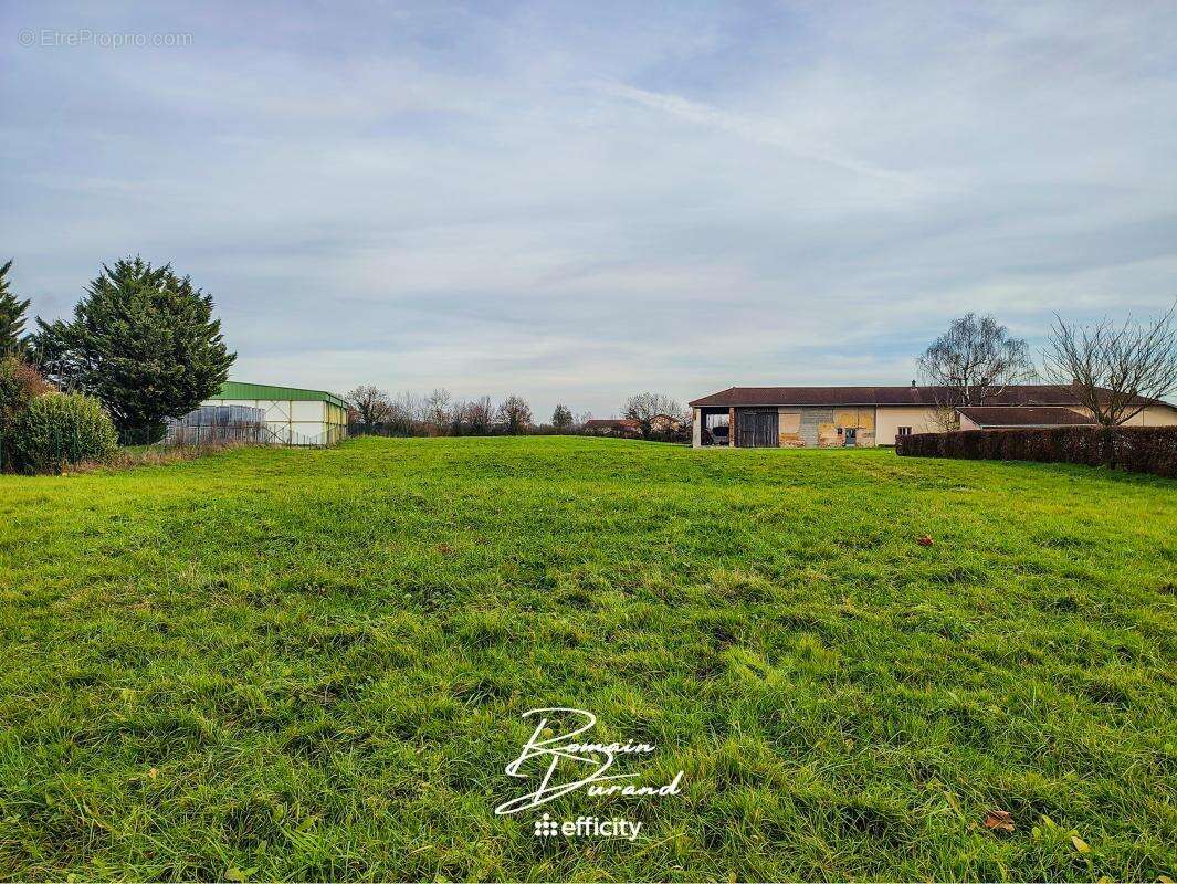 Terrain à SAINT-TRIVIER-DE-COURTES